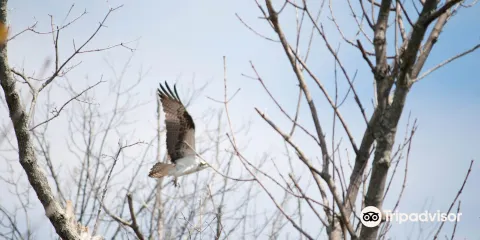 Occoquan Bay National Wildlife Refuge