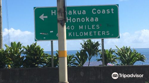 Hamakua Coast