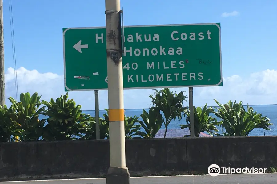 Hamakua Coast