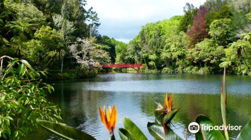 Pukekura Park