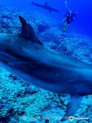 Rangiroa Diving Center