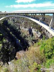 Storms River Bridge (Paul Sauer Bridge)