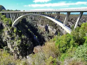 Storms River Bridge (Paul Sauer Bridge)