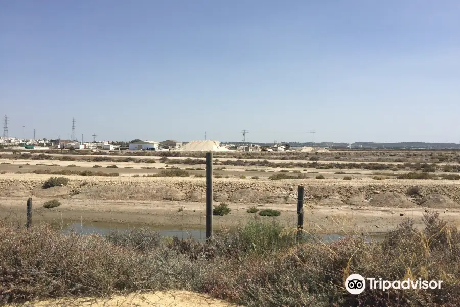 Parque Natural Bahia de Cadiz