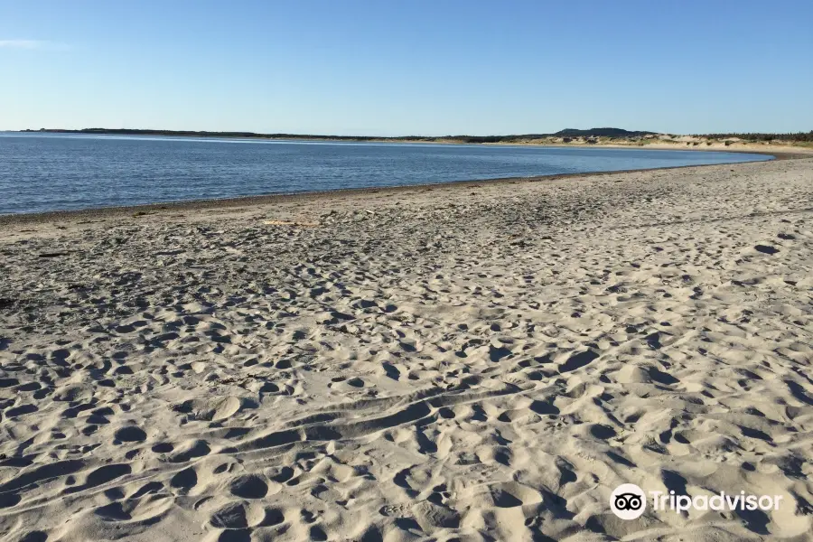 Shallow Bay Beach