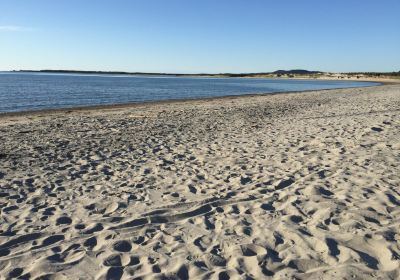 Shallow Bay Beach