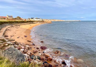 Billow Ness Beach