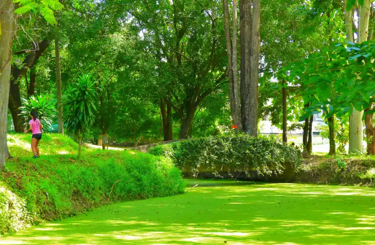 Hotels near Chiang Mai Gymkhana Club tennis etc