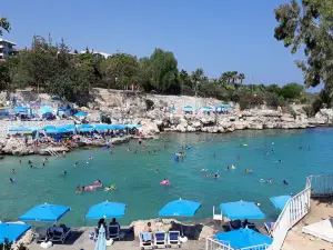Yaprakli Koyu
