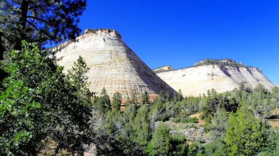 Checkerboard Mesa