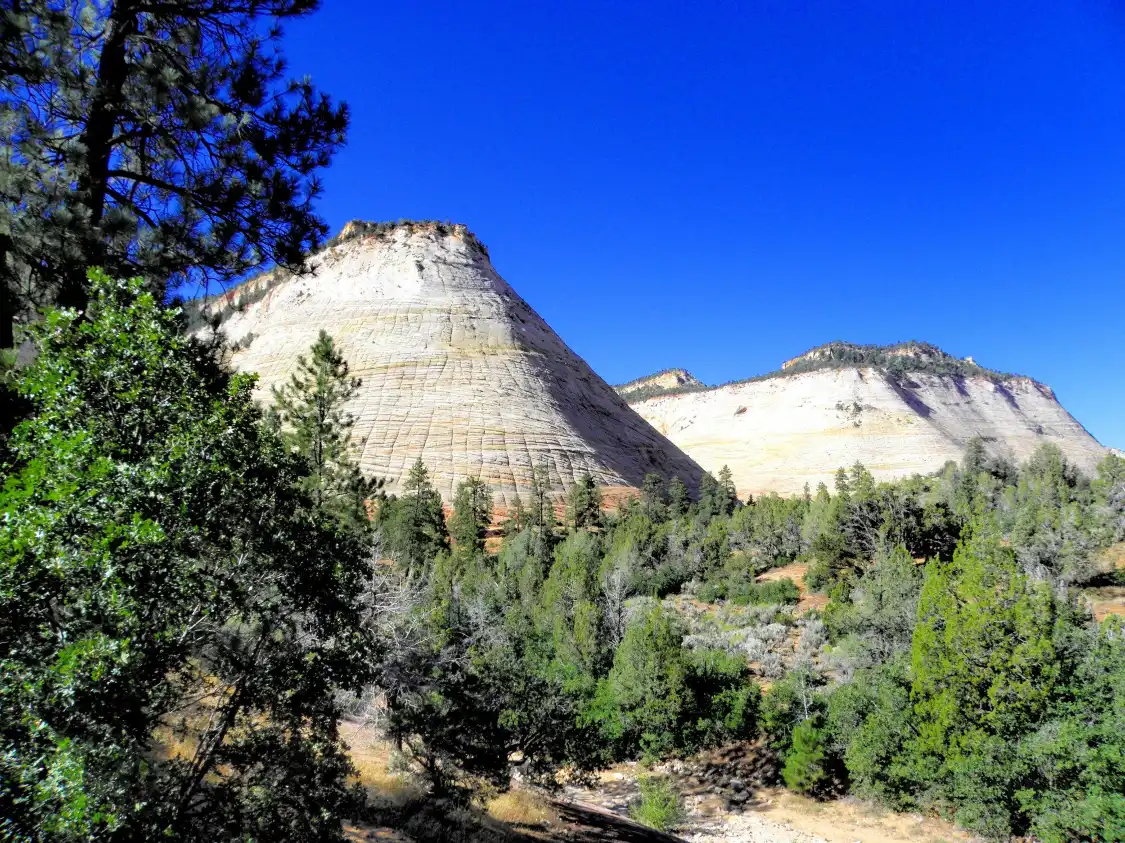 Hotels near Checkerboard Mesa