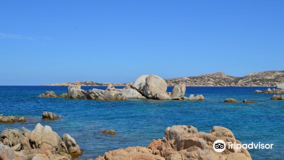 Spiaggia Testa di Polpo
