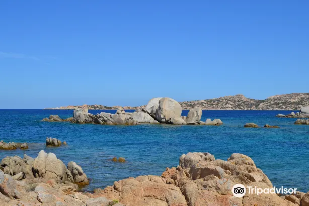 Spiaggia Testa di Polpo