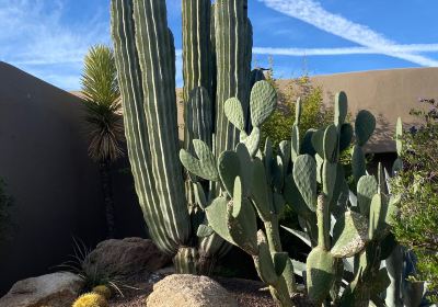 Carefree Desert Gardens