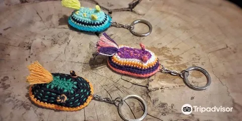 Magnolia Boutique Komodo