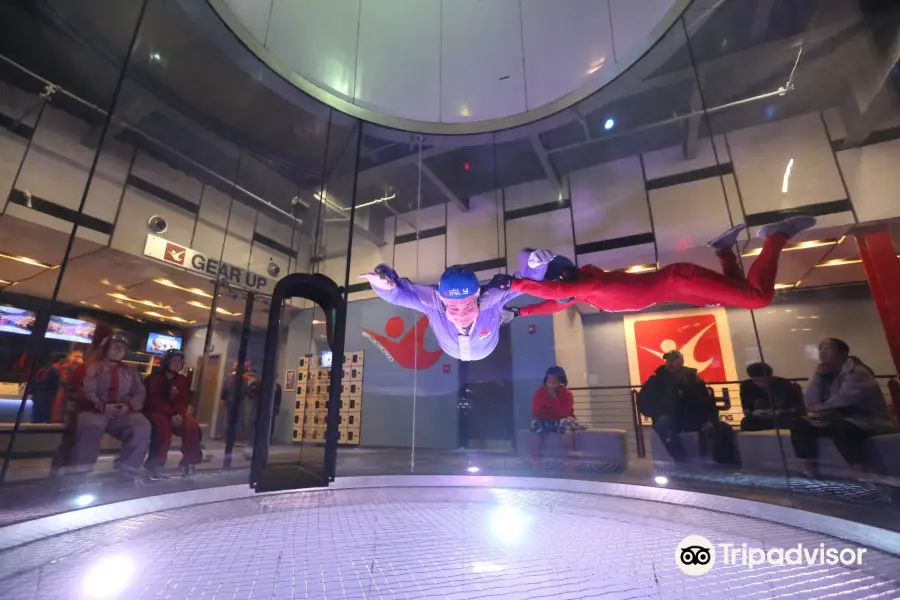 iFLY Indoor Skydiving - Chicago Naperville