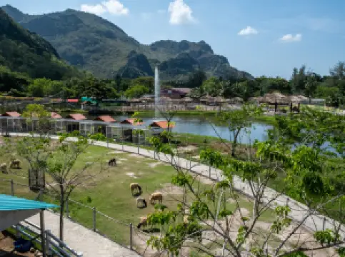 Malai Farm