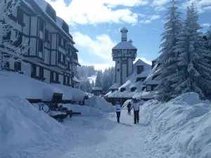 Parco nazionale di Kopaonik