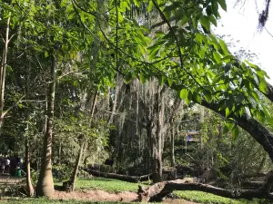 エル・ガリネラル自然公園