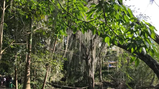 El Gallineral Natural Park