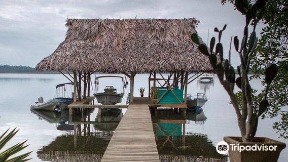 Green Acres Chocolate Farm