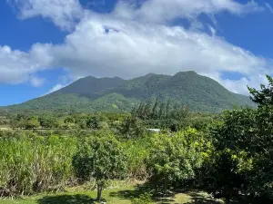St. Kitts Eco-Park