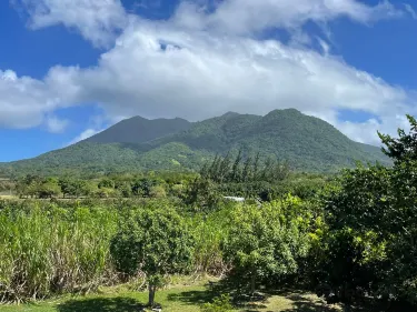 St. Kitts Eco-Park