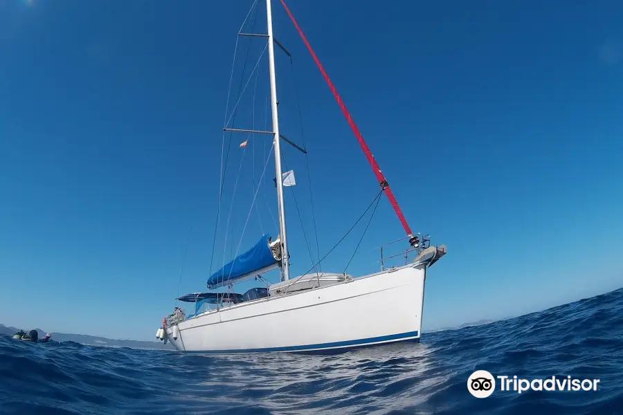 Sedna Sail & Dive