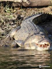 Daintree River Cruise Centre