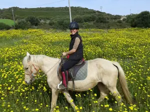 Centro Ippico Meurreddus a Cuaddu