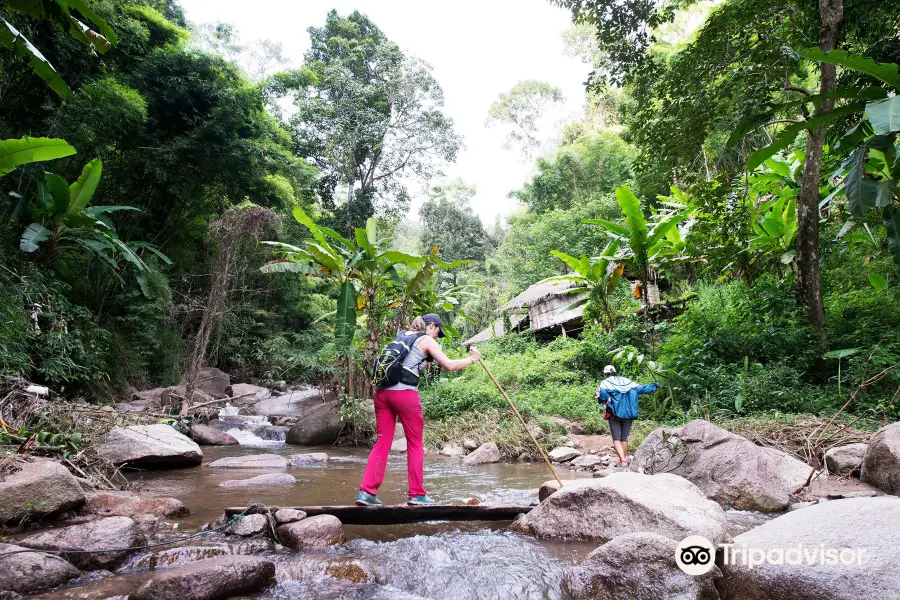 Thailand Mountain Trail