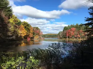 Ashley Reservoir