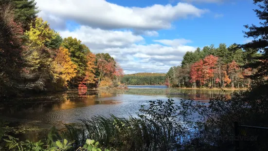 Ashley Reservoir