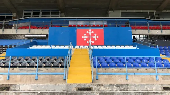 Stadio Arena Garibaldi - Romeo Anconetani