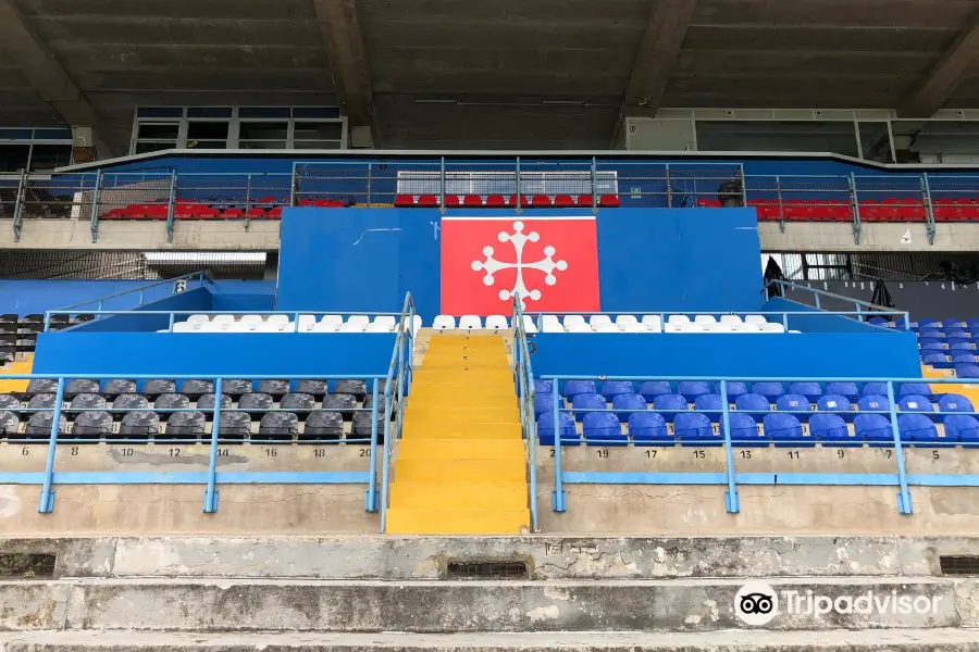 Stadio Arena Garibaldi - Romeo Anconetani