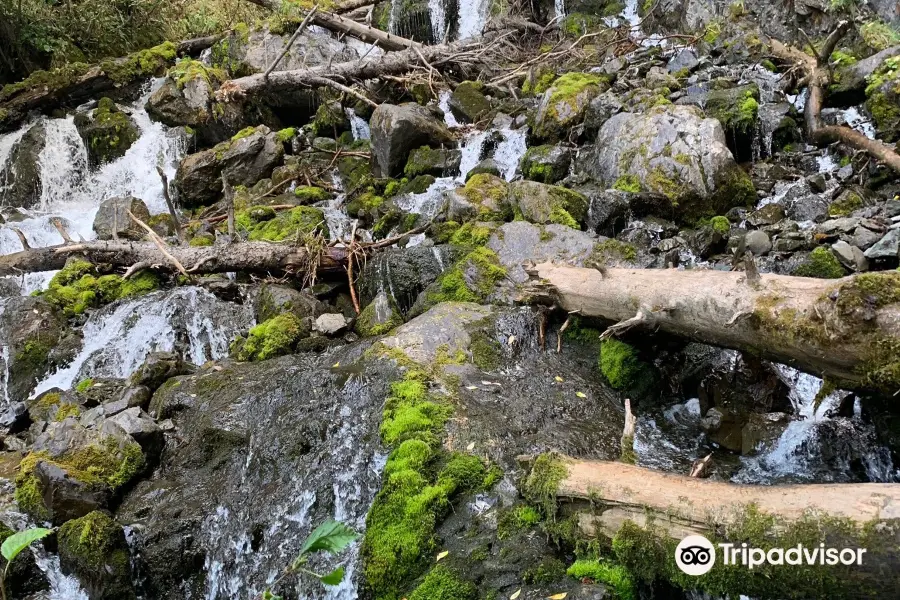 Pioneer Falls Trail