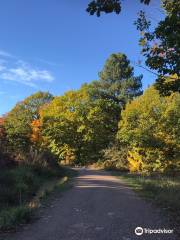 Clowes Wood