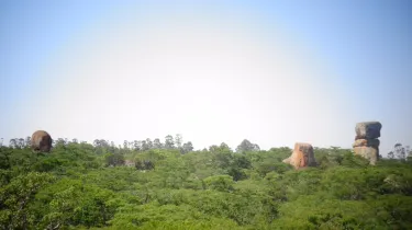 東マショナランド