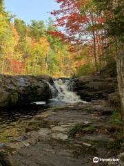 McMaster Mill Historic Park