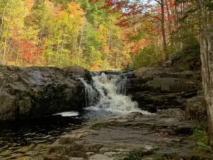 McMaster Mill Historic Park