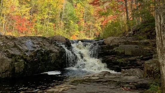 McMaster Mill Historic Park