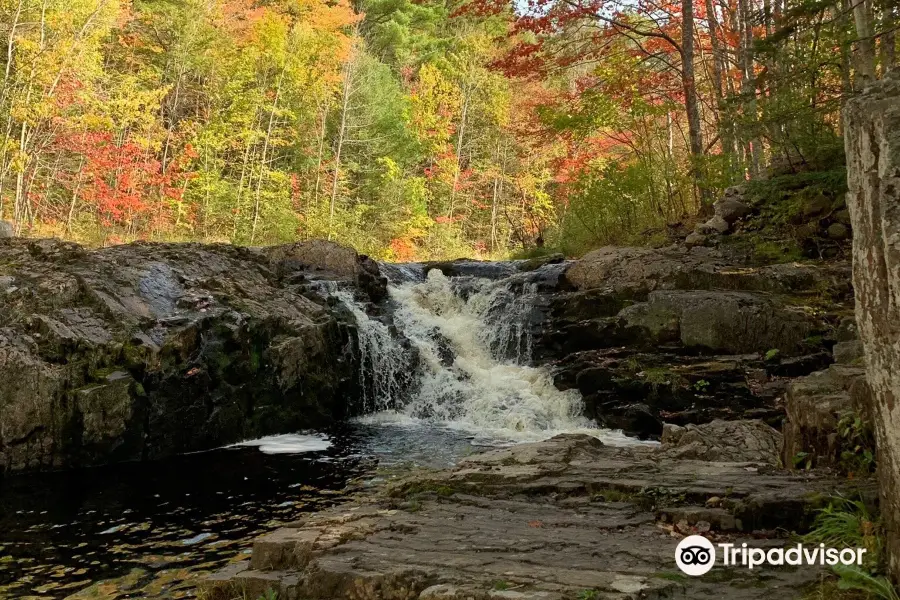 McMaster Mill Historic Park