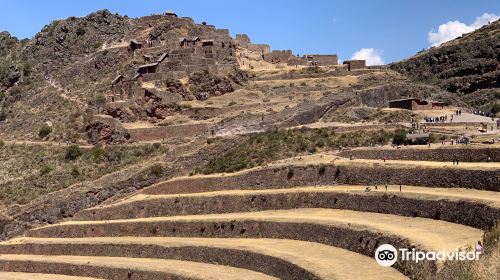 Terrazas Agricolas Periodo Inca