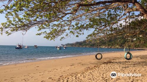 Praia da Armacao