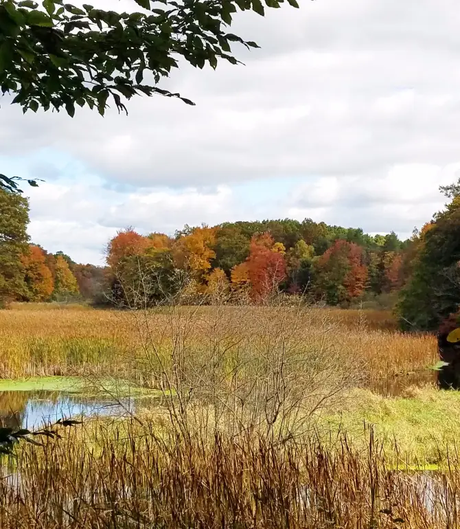 Port Sheldon Township
