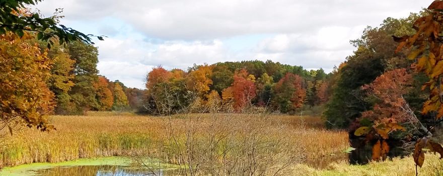 Hemlock Crossing