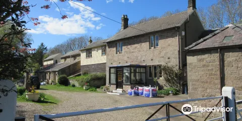 Norham Station Museum