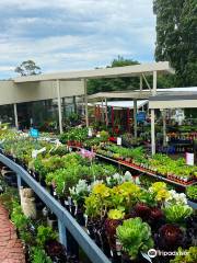 Poyntons Nursery