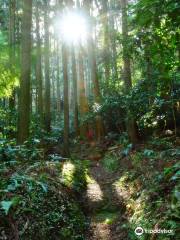 宇津の谷峠（蔦の細道）