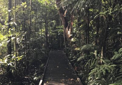 Djiru National Park